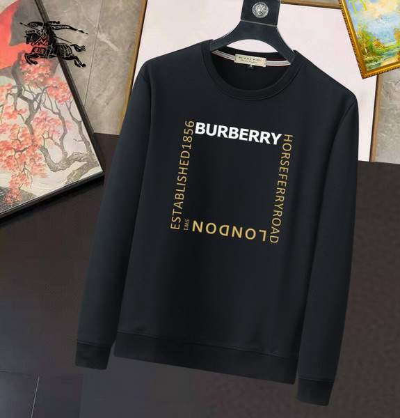 Picture of Burberry Sweatshirt _SKUBurberryM-3XL13gn16530710